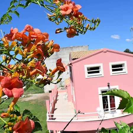 Vila Private Akobara, 2km From Center *